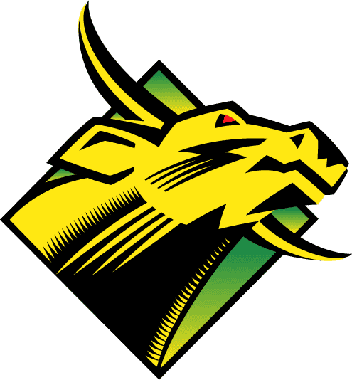 South Florida Bulls 1997-2002 Primary Logo diy iron on heat transfer...